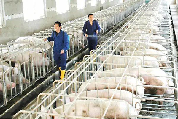 生物除臭剂