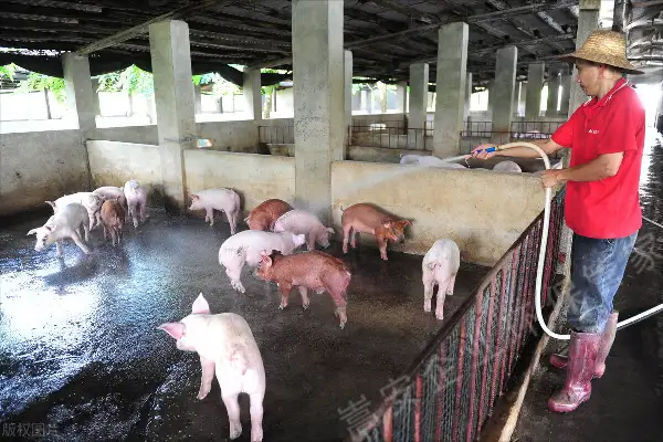 生物除臭剂