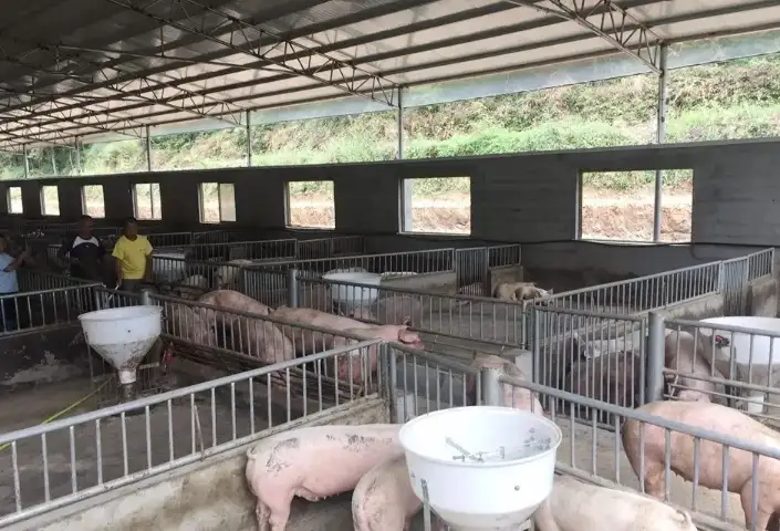 养猪场