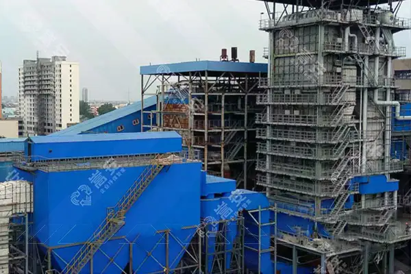 生物质锅炉除尘器