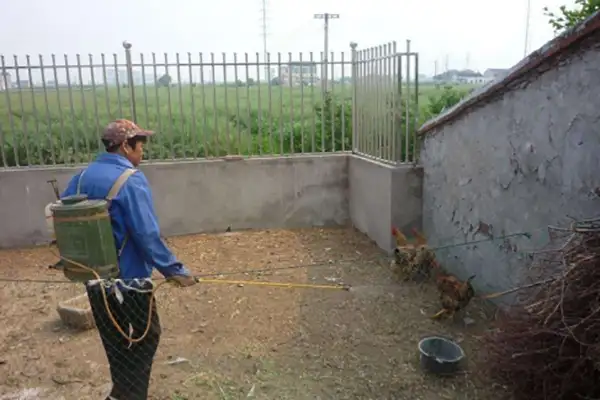 生物除臭剂,嵩安环保,养鸡场,养鸡场除臭