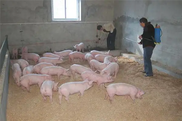 生物除臭剂,养殖场臭气,养殖场除臭