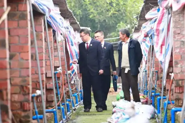2020养殖业,养殖场臭气,养殖场除臭,养殖场,环保部门,