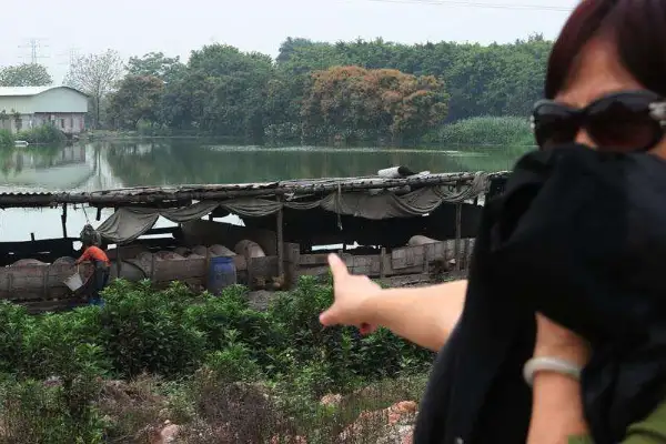 养殖场臭气,养殖场除臭,环保部门,环保政策,云安区,郑州市养殖场,