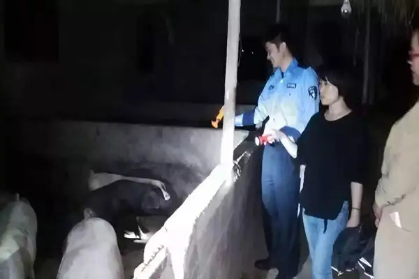 养殖业,养殖补贴,养殖场臭气,生物除臭剂,养殖场环保,养殖户,