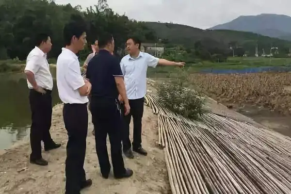 养殖场,环保部门,养殖场臭气,生物除臭剂,嵩安环保,养殖场环保,