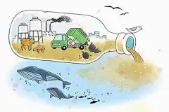 环境影响评价的重要性与流程