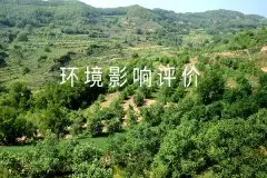 重温2019年生态环境保护25字方针
