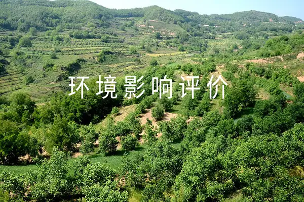 环评编写、染防治对策、环境影响评价、环保服务、嵩安环保管家