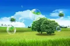 不办理环境影响评价的后果