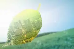 环境影响分析的重要步骤和要点