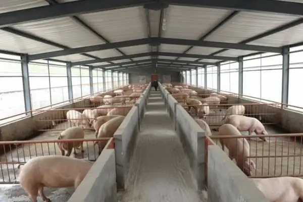 秋冬季,养殖场,禽畜,生物除臭剂,臭气,嵩安环保,