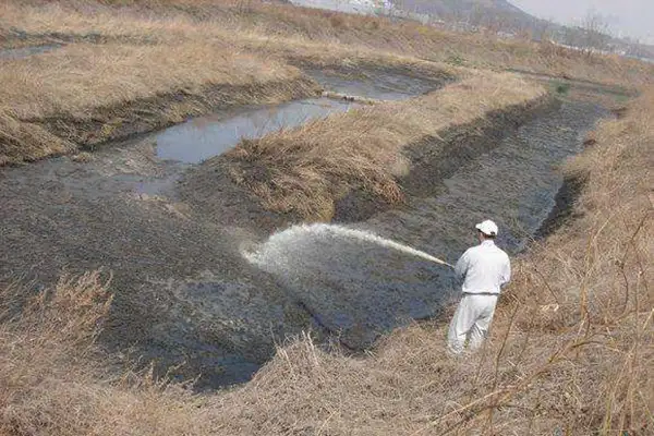 污水处理厂,污水处理厂臭气,生物除臭剂效果,生物除臭剂,嵩安环保管家