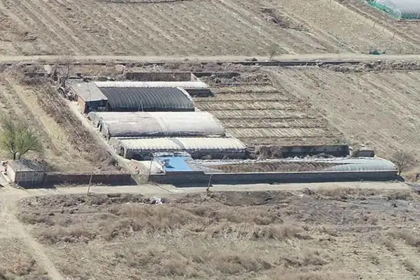 养猪场生物除臭剂,养猪场除臭,养猪场除臭剂厂家