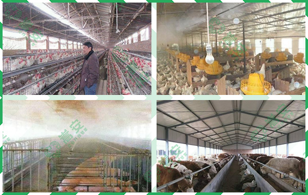 养殖场除臭,除臭，养殖场生物除臭剂